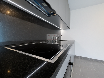 Appartement 2,5 pièces avec grande terrasse ouest de 42,50 m2 au 3ème étage image 2