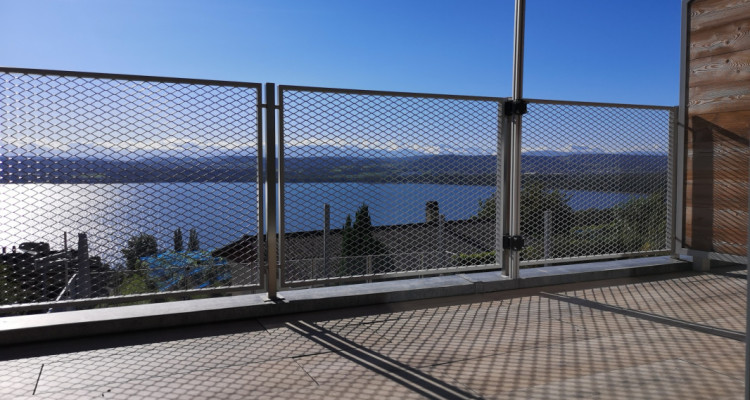 Duplex dexception avec vue splendide sur le lac de Morat et les Alpes image 1