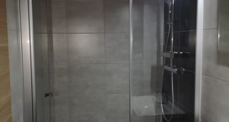 Duplex dexception avec vue splendide sur le lac de Morat et les Alpes image 9