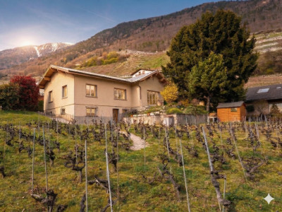 Grande maison avec jardin sur Martigny ! Terrain constructible !  image 1