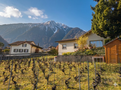 Grande maison avec jardin sur Martigny ! Terrain constructible !  image 3