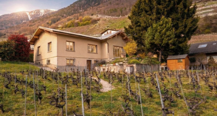 Grande maison avec jardin sur Martigny ! Terrain constructible !  image 1