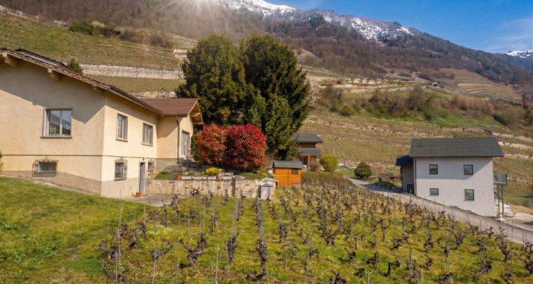 Grande maison avec jardin sur Martigny ! Terrain constructible !  image 2