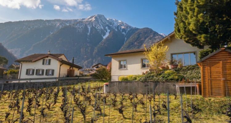 Grande maison avec jardin sur Martigny ! Terrain constructible !  image 3