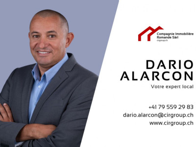 Superbe bien au coeur des vignes Valaisannes image 2