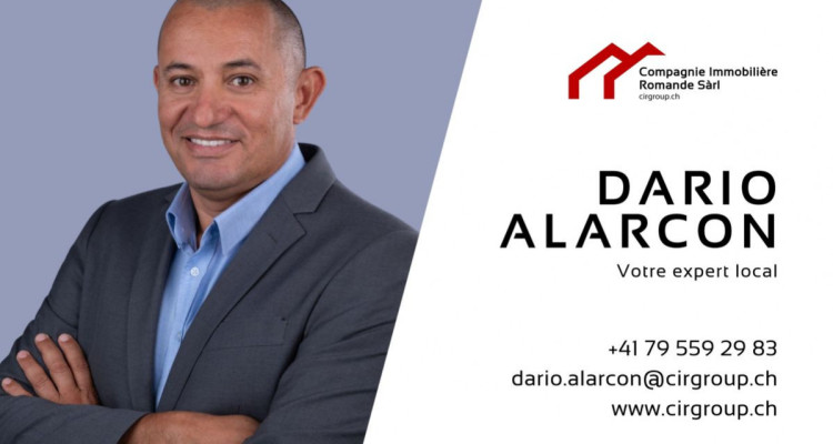 Superbe bien au coeur des vignes Valaisannes image 2