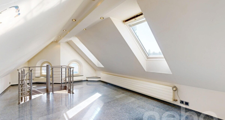 Charmante Dachwohnung mit Galerie und Weitsicht ins Grüne image 11