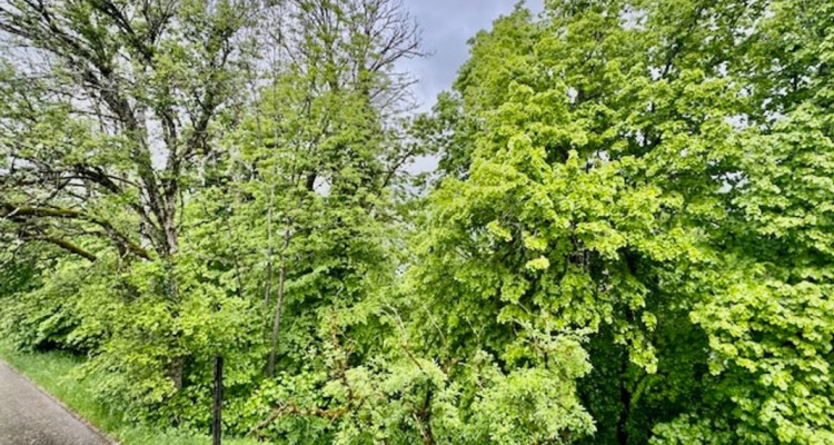 En exclusivité: Maison individuelle, à rénover aux Brenets image 3