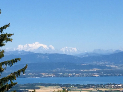  Faites une offre pour cette superbe villa dexception, avec vue sur le lac et les alpes image 1