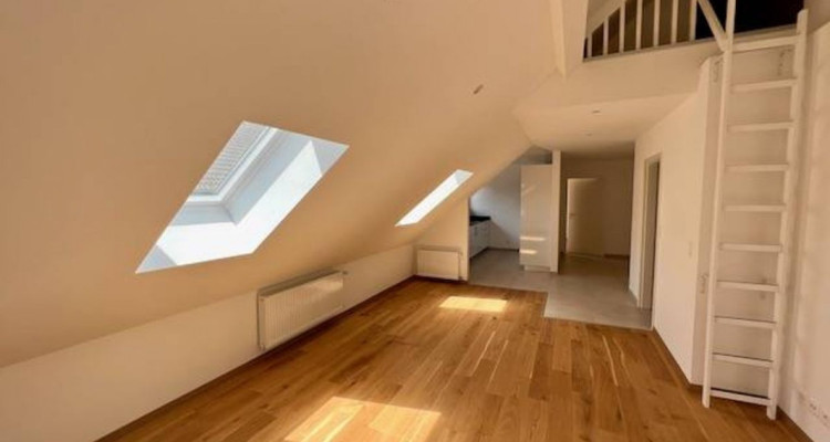 Immeuble rénové, 3 lots sur 5 loués, 4 appartements et un local commercial image 7