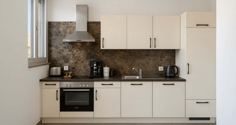 Immeubles CHF 150’600.– Garantie locative à 100% image 7