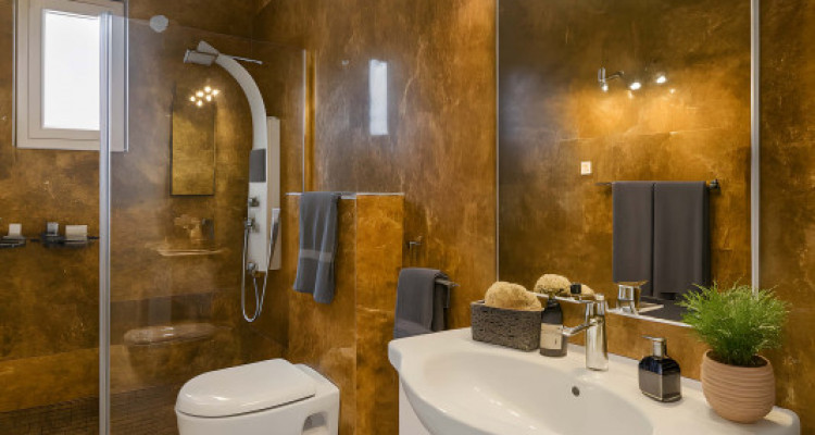 Immeubles CHF 150’600.– Garantie locative à 100% image 12