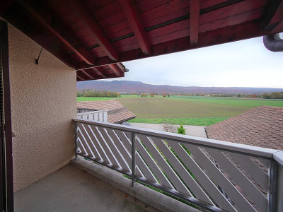 Belle et spacieuse villa au calme et proche de Nyon image 6