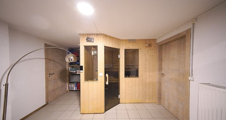 Belle et spacieuse villa au calme et proche de Nyon image 10