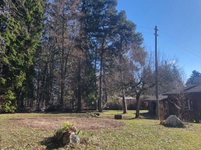 À vendre – Parcelle constructible 1’600 m² – Hauts de Bassins image 1