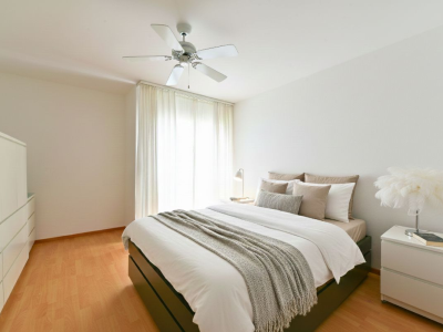 Confort et tranquillité à Colombier - 4,5 pièces lumineux image 4