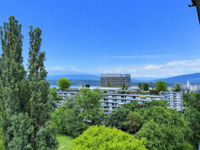 Superbe appartement en étage élevé avec piscine en viager occupé sans rente image 1
