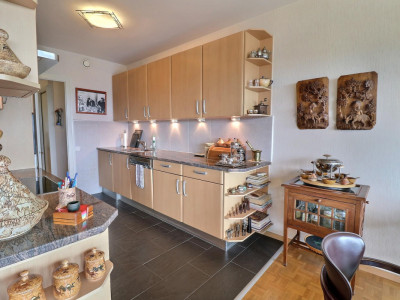 Superbe appartement en étage élevé avec piscine en viager occupé sans rente image 8