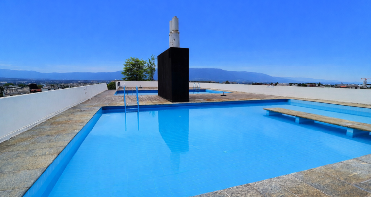 Superbe appartement en étage élevé avec piscine en viager occupé sans rente image 13