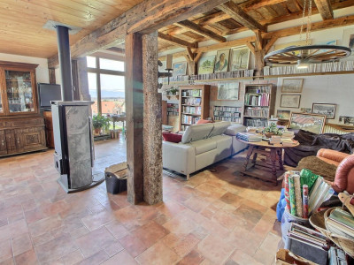 Grande maison en viager semi-occupé sans rente avec grand potentiel image 1