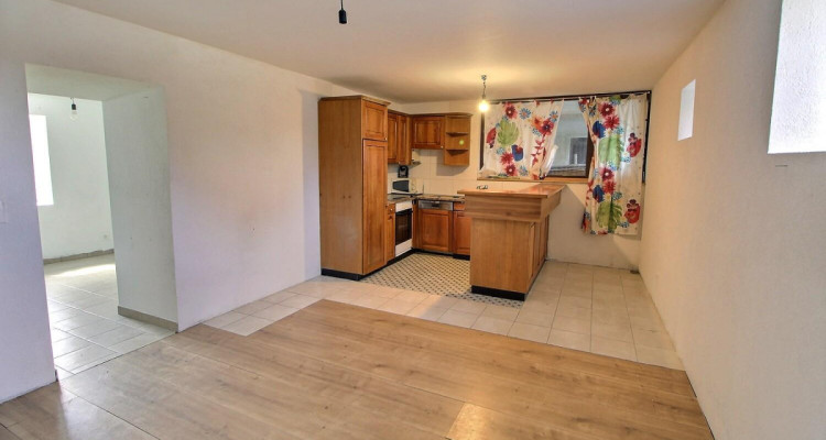 Grande maison en viager semi-occupé sans rente avec grand potentiel image 8