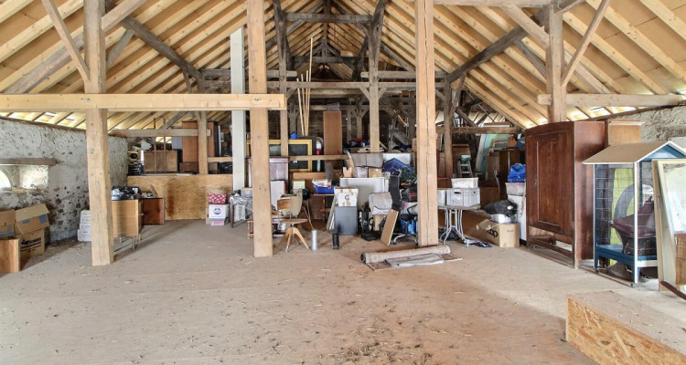 Grande maison en viager semi-occupé sans rente avec grand potentiel image 10