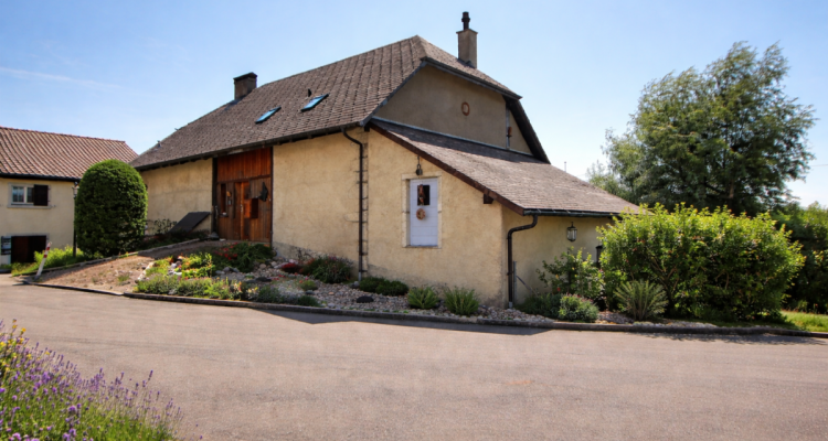 Jolie maison en viager occupé sans rente image 2
