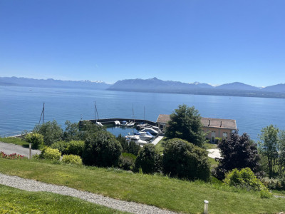 BIEN EXCEPTIONNEL!! Grand appartement en viager occupé sans rente. Vue Lac et Port privé. image 6