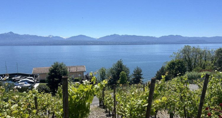 BIEN EXCEPTIONNEL!! Grand appartement en viager occupé sans rente. Vue Lac et Port privé. image 5