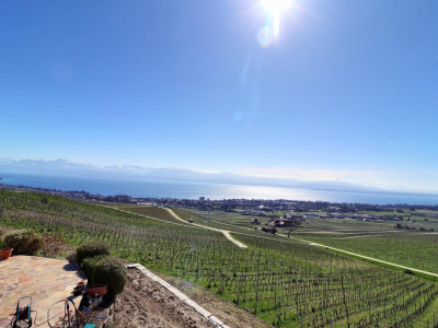 Magnifique maison en viager occupé sans rente avec splendide vue Lac image 3