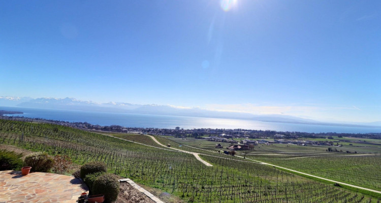 Magnifique maison en viager occupé sans rente avec splendide vue Lac image 3