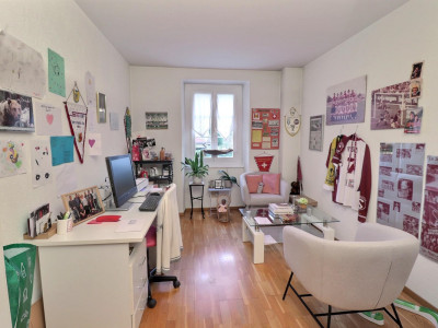 Superbe appartement en viager occupé sans rente avec piscine et vue Lac image 13