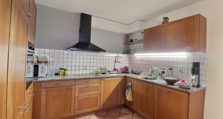 Superbe appartement en viager occupé sans rente avec piscine et vue Lac image 8