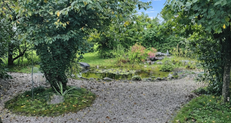 Très grande maison familiale en viager occupé sans rente image 6