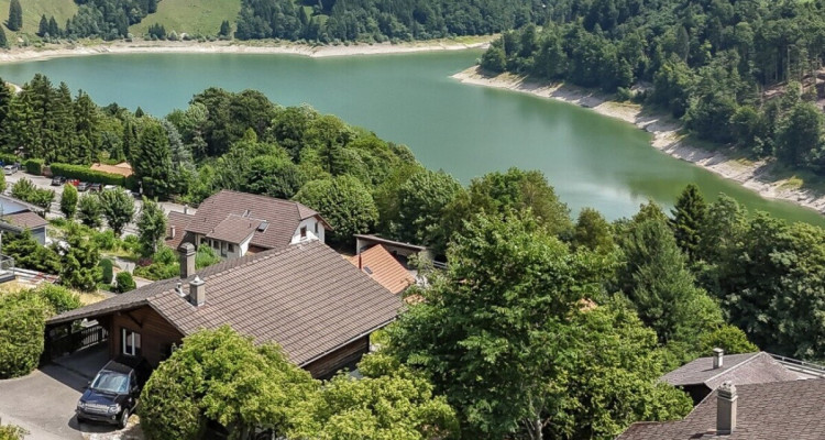 Vue panoramique et charme authentique: Un chalet à réinventer image 1