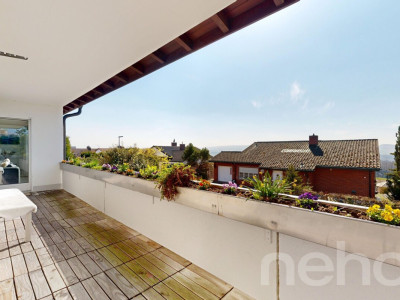 Paradiesisches 5.5-Zimmer-Einfamilienhaus mit Einliegerwohnung image 8