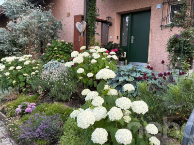 Renoviertes Eckreihenhaus mit wunderschönem Garten image 2