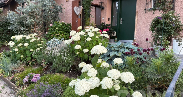 Renoviertes Eckreihenhaus mit wunderschönem Garten image 2