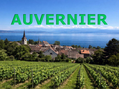 Une opportunité unique image 1