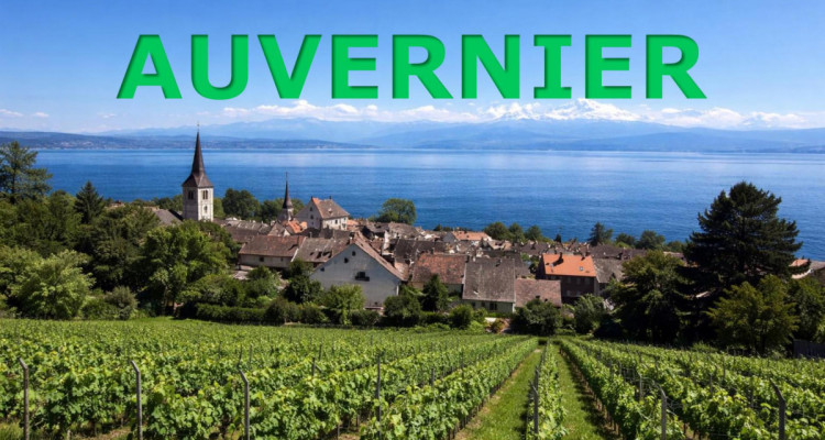 Une opportunité unique image 1