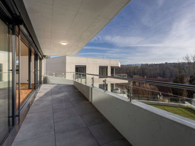 A vendre magnifique appartement de 5,5 pces sur la commune de Belfaux image 2