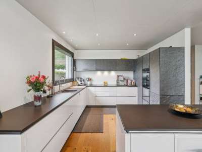 Entre lac et vignes - Maison dexception au coeur du Vully image 4