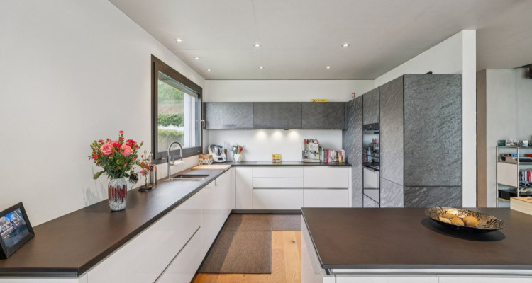 Entre lac et vignes - Maison dexception au coeur du Vully image 4