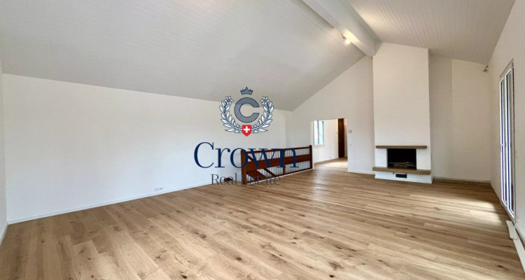 Character and volume image 3