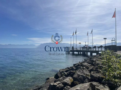 On the front line of the lake image 1