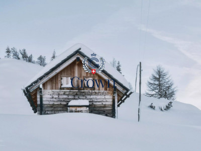 Back to basics, high in the mountain pastures image 1