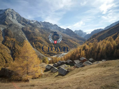 Back to basics, high in the mountain pastures image 2