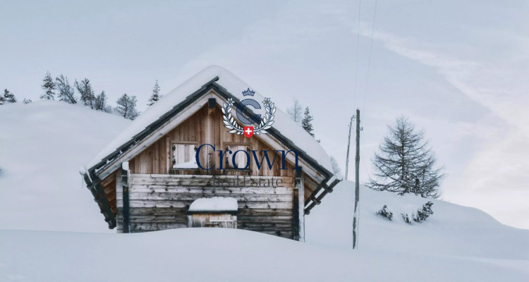 Back to basics, high in the mountain pastures image 1