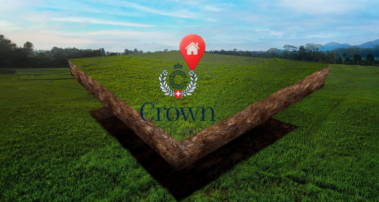 Your future starts here image 1