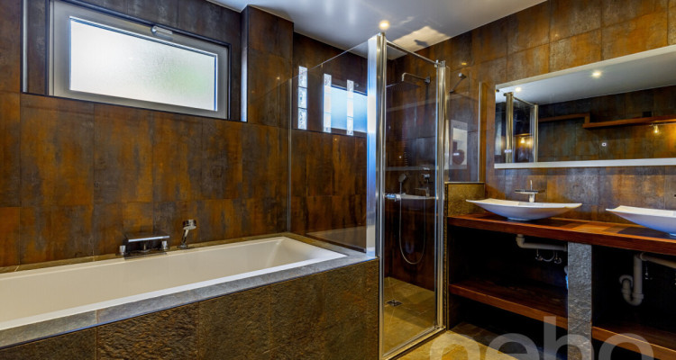 Villa d?Exception à Chernex, Montreux : Vue Panoramique du lac Léman image 12